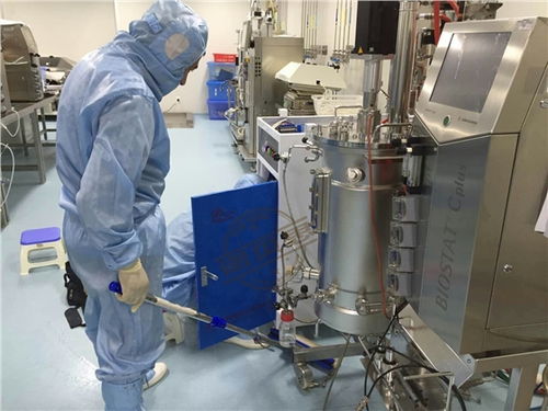 蒸汽能效與生物基材料創新 生物制藥廠在川貝枇杷膏生產中的協同研發路徑